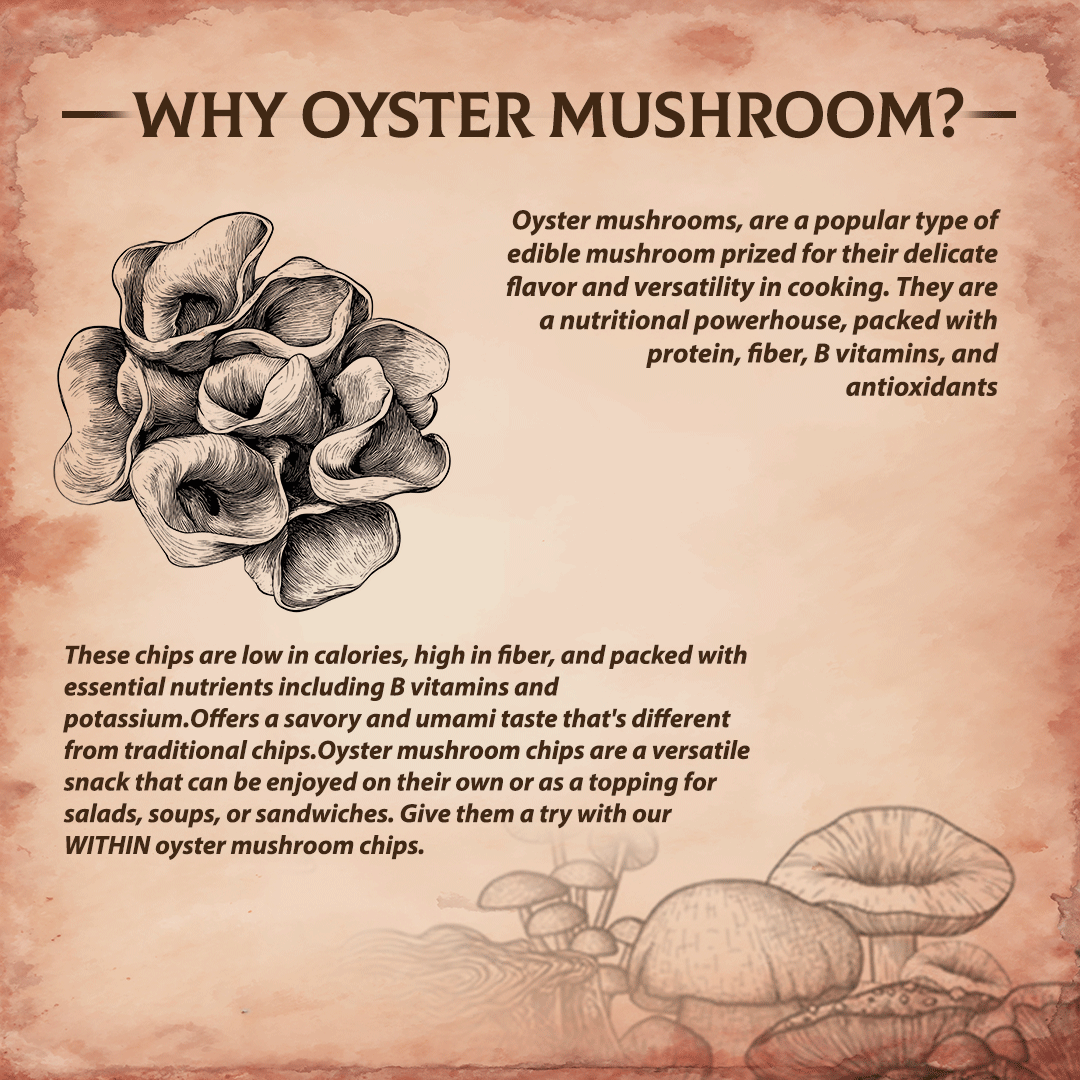 Why Oyster Mushrooms are healthy – protein-rich, low fat, packed with umami