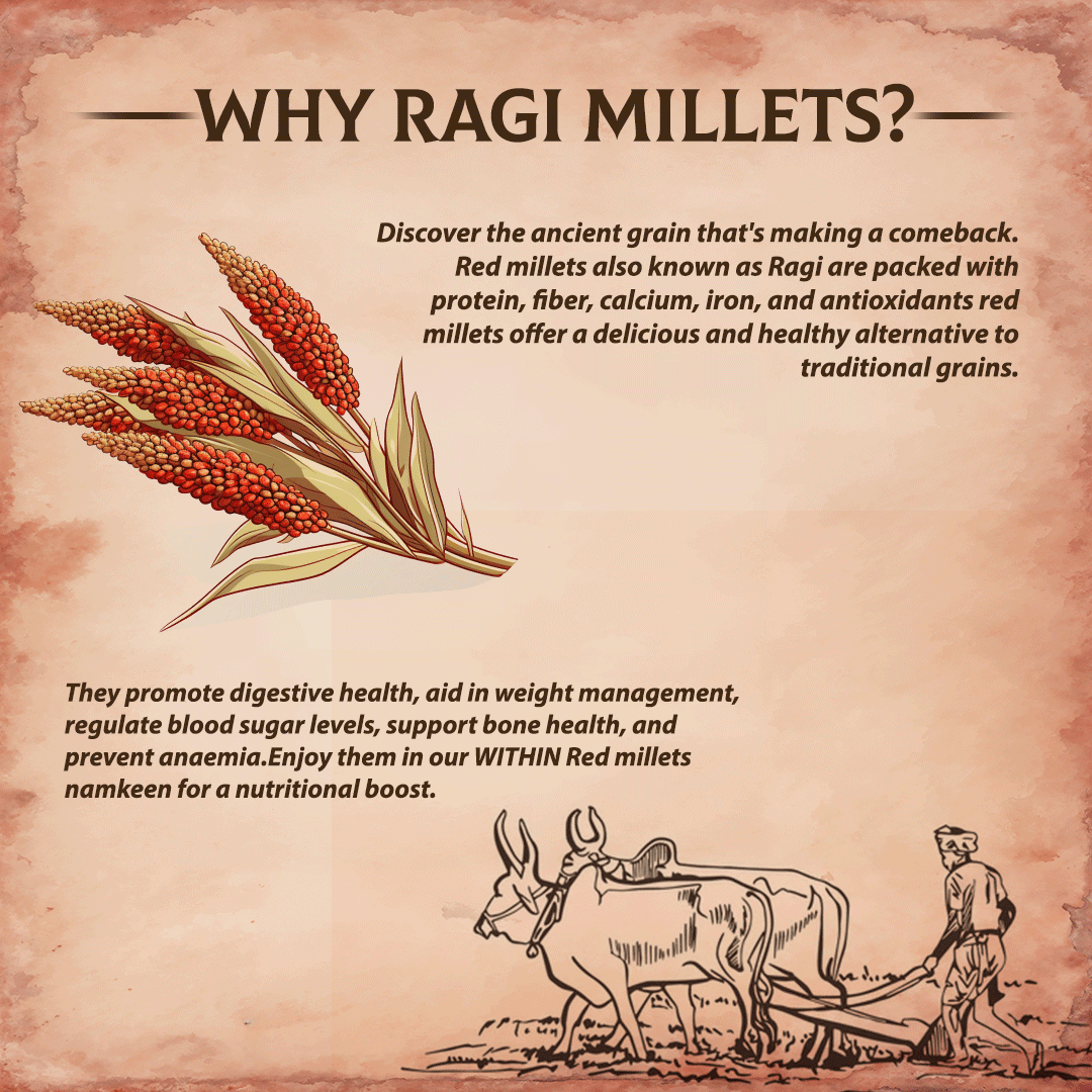 Benefits of Ragi Millet – rich in calcium, iron and fibre for clean eating